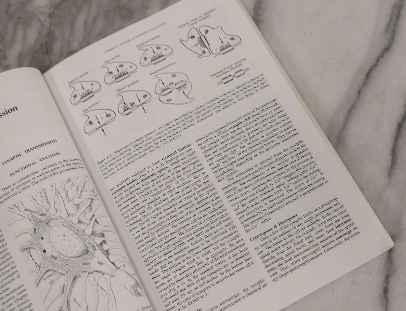 Lot 317 - Pair Of Vintage Medical Textbooks Including "Review Of Medical Physiology" 1981 And "Gray's Anatomy" Classic Collector's Edition With New Illustrations, 1977