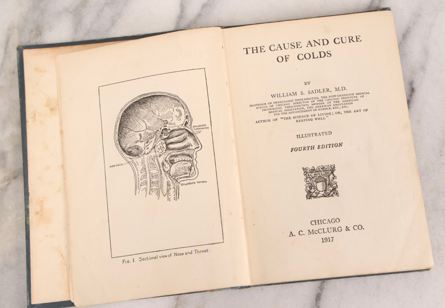 Lot 318 - Grouping Of Six Antique And Vintage Books Including Freemasonry Manual, Medical Text, Technical Manual, Dictionary, Biblical History, And Classic Literature, 1877-1951