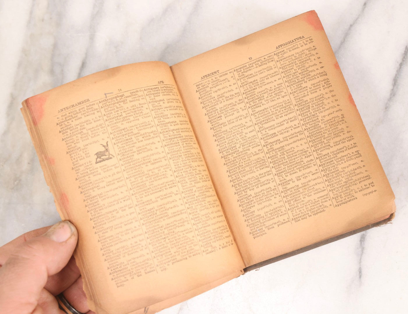 Lot 318 - Grouping Of Six Antique And Vintage Books Including Freemasonry Manual, Medical Text, Technical Manual, Dictionary, Biblical History, And Classic Literature, 1877-1951