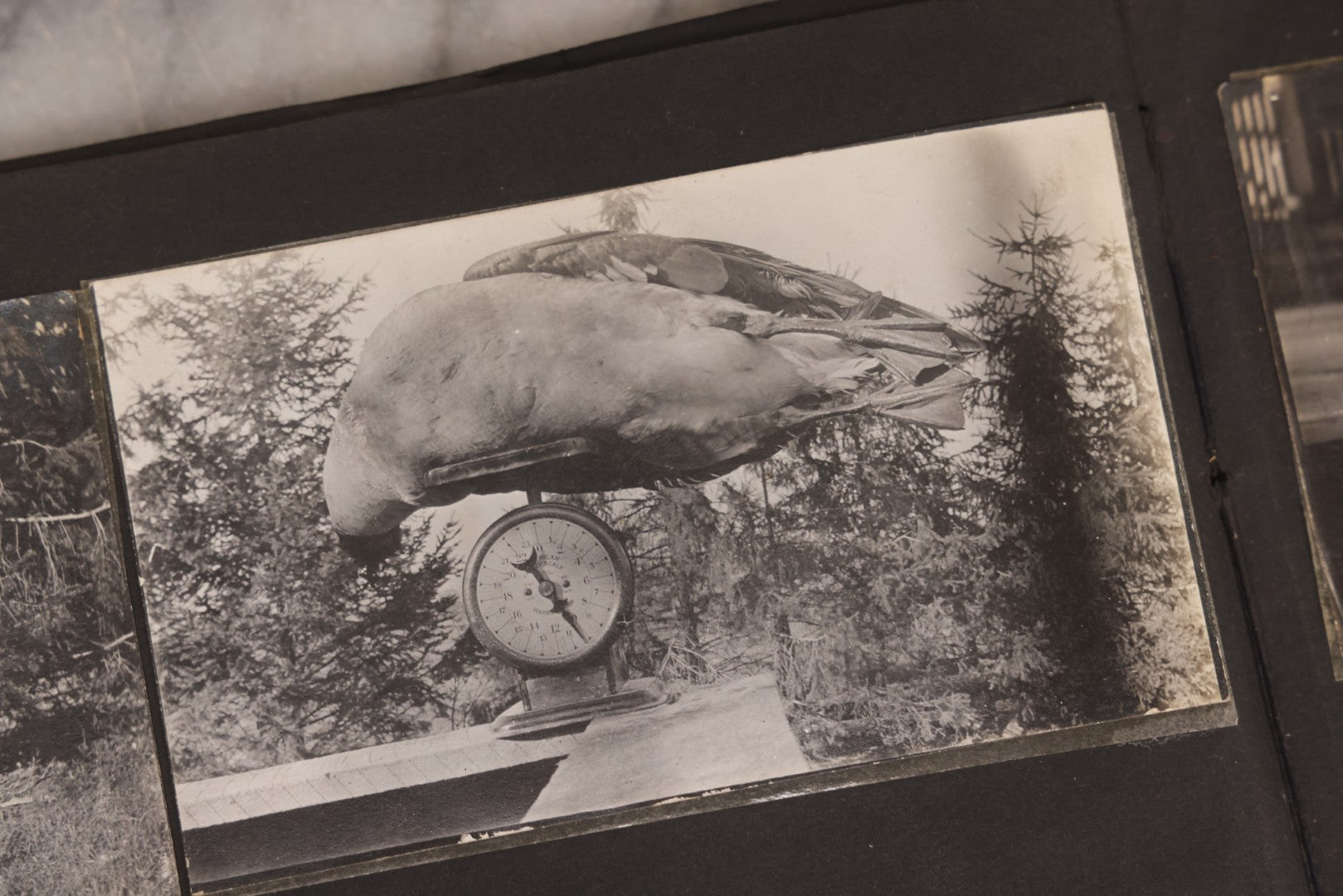 Lot 006 - Important Antique Snapshot Photo Album With 500+ Photographs Depicting American Life Leading Up To World War I, Ohio State University 1913, Great Flood Of 1913, Camp Taliaferro Flight Training, And European Service 1918