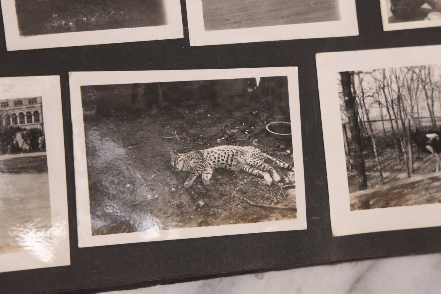 Lot 006 - Important Antique Snapshot Photo Album With 500+ Photographs Depicting American Life Leading Up To World War I, Ohio State University 1913, Great Flood Of 1913, Camp Taliaferro Flight Training, And European Service 1918