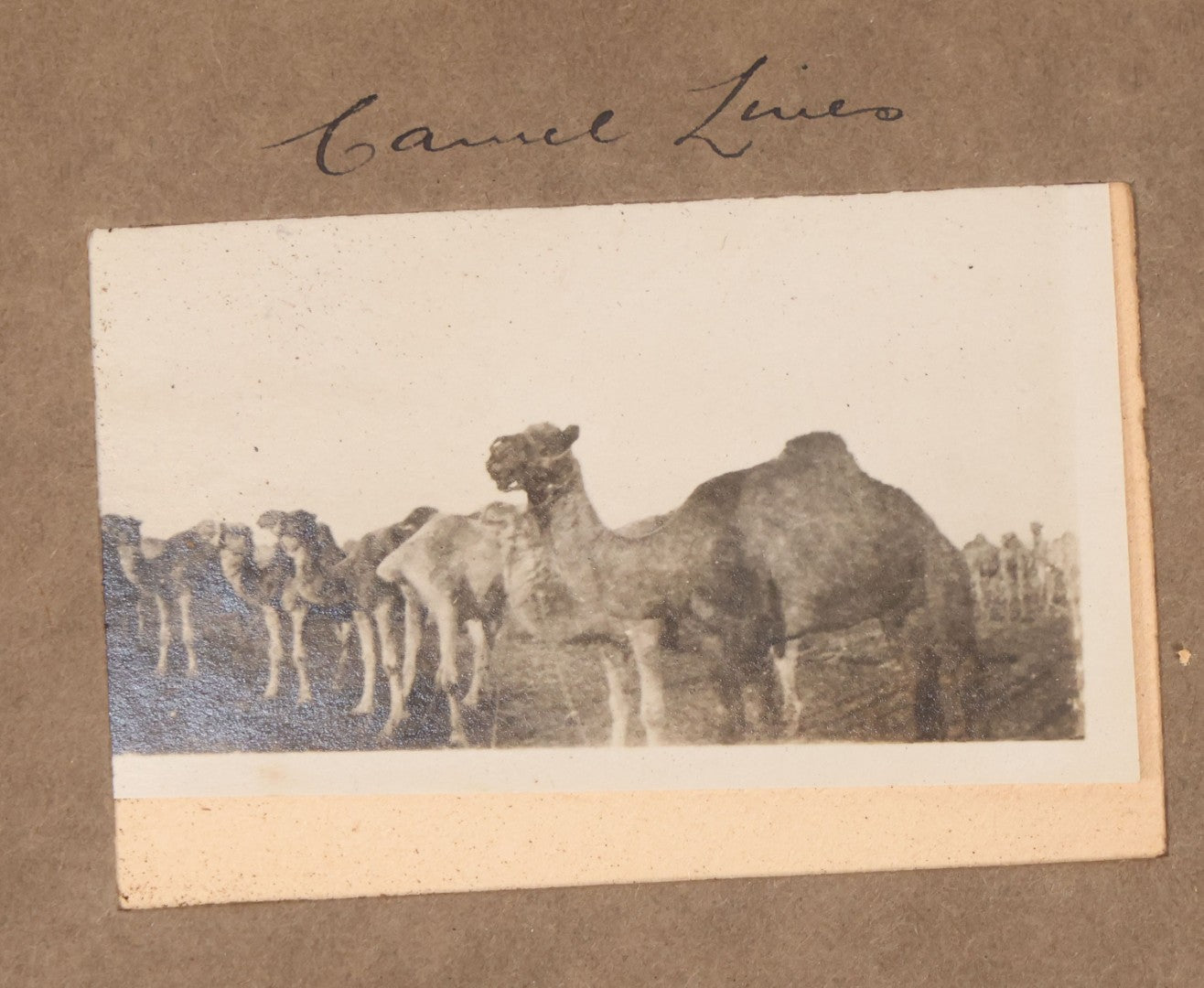 Lot 007 - Antique Early Twentieth Century Photo Album Depicting Middle East And Holy Land Military Scenes, Likely World War I Sinai And Palestine Campaign, Including Gaza, Lebanon, Jordan Valley, Suez Canal, British Destroyers, And Prisoners