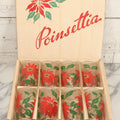 Lot 100 - Vintage Set Of Eight Poinsettia Tumblers In Original Box, Glasses 5" H Each