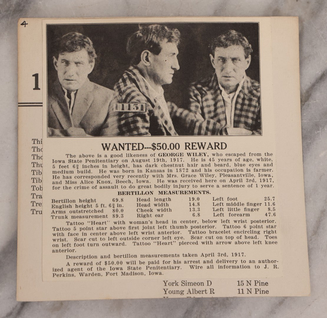Lot 123 - Trio Of Antique Wanted Poster Cards With Mugshots For Chas E. Carter, Grand Larceny, George Wiley, Escaped From Iowa State Penitentiary, Harry Williams, Escaped From New Jersey Reformatory
