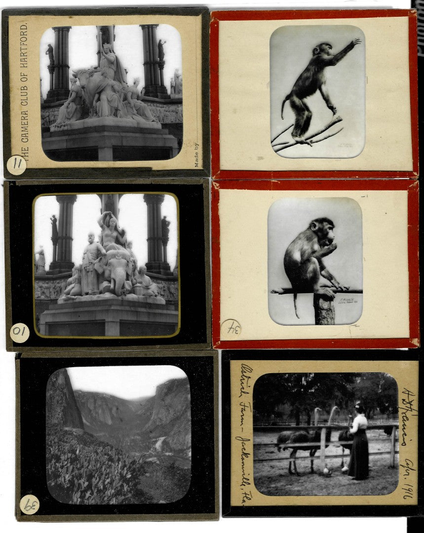 Lot 151 - Grouping Of 44 Vintage Black And White Magic Lantern Photo Slides Photographed By Arthur D. Francis, Circa 1930s With Handwritten Notes, Including Travel Scenes, Landscapes, Architecture, Animals, In Storage Box