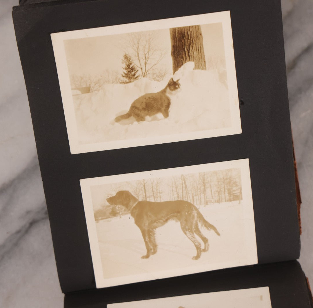 Lot 168 - Antique Snapshot Photograph Album, Leather Covers With Hand-Painted Pink Flower, Including Photos Of People With Bikes, Soldiers In Uniform, Babies, Children, Dolls, Pets, Circa 1900s-1910s