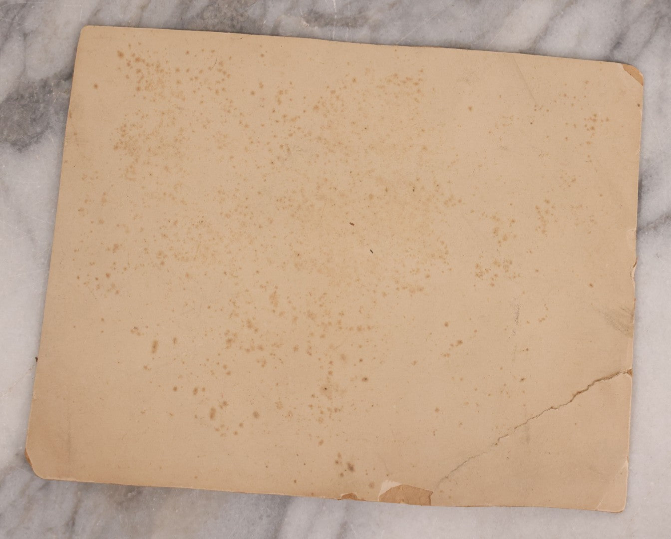 Lot 175 - Trio Of Antique Occupational Photographs Including Board-Mounted And One R.P.P.C., Groups Of Workers In Industrial And Workshop Settings