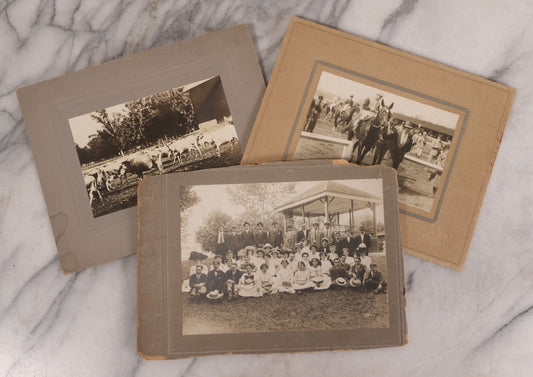 Lot 176 - Trio Of Antique Boarded Photographs Including Dairy Cattle, Horse Racing Scene, And Large Outdoor Group Portrait, Circa Early 1900s