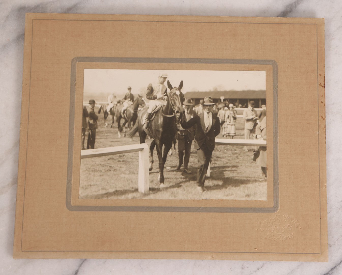 Lot 176 - Trio Of Antique Boarded Photographs Including Dairy Cattle, Horse Racing Scene, And Large Outdoor Group Portrait, Circa Early 1900s