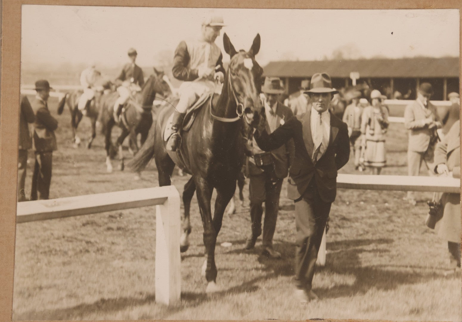 Lot 176 - Trio Of Antique Boarded Photographs Including Dairy Cattle, Horse Racing Scene, And Large Outdoor Group Portrait, Circa Early 1900s