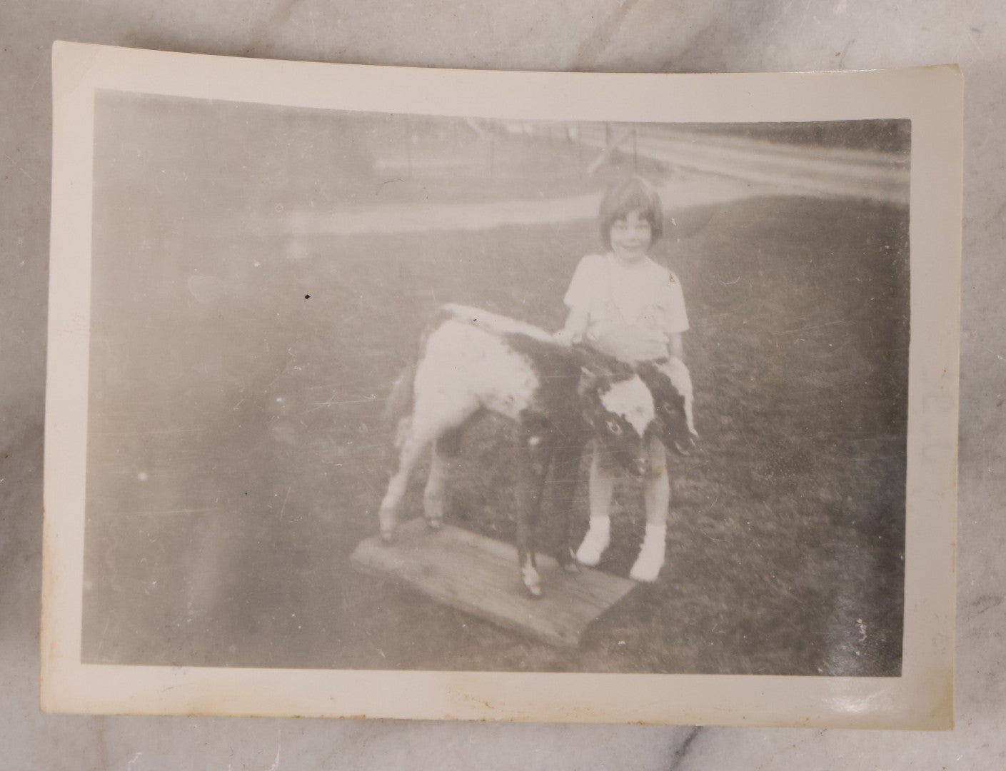 Lot 183 - Vintage Snapshot Photograph Of Little Girl Posing With Two Headed Calf Taxidermy