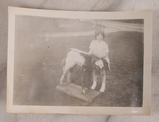 Lot 183 - Vintage Snapshot Photograph Of Little Girl Posing With Two Headed Calf Taxidermy