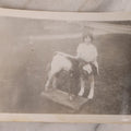 Lot 183 - Vintage Snapshot Photograph Of Little Girl Posing With Two Headed Calf Taxidermy