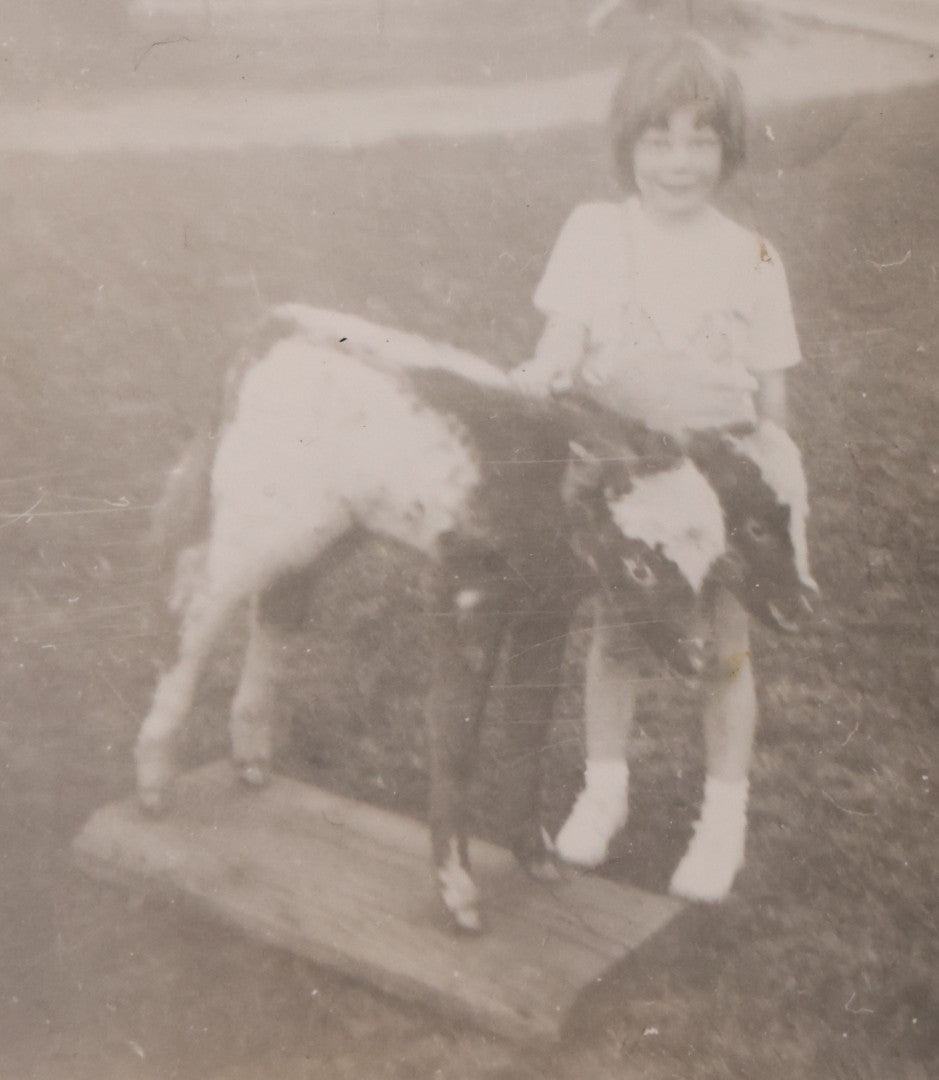 Lot 183 - Vintage Snapshot Photograph Of Little Girl Posing With Two Headed Calf Taxidermy