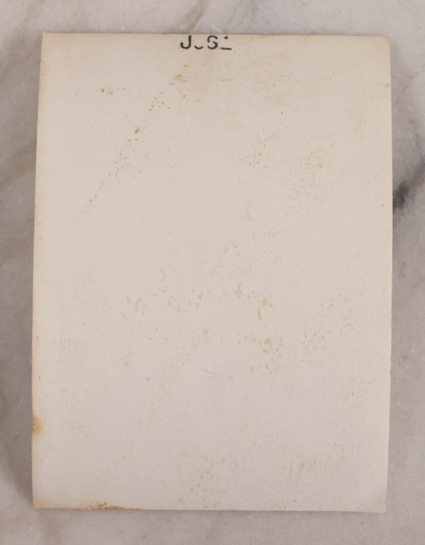 Lot 183 - Vintage Snapshot Photograph Of Little Girl Posing With Two Headed Calf Taxidermy