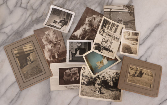 Lot 187 - Grouping Of 13 Pieces Miscellaneous Antique And Vintage Cat Ephemera Including Postcards, Mounted Photographs, And Snapshots