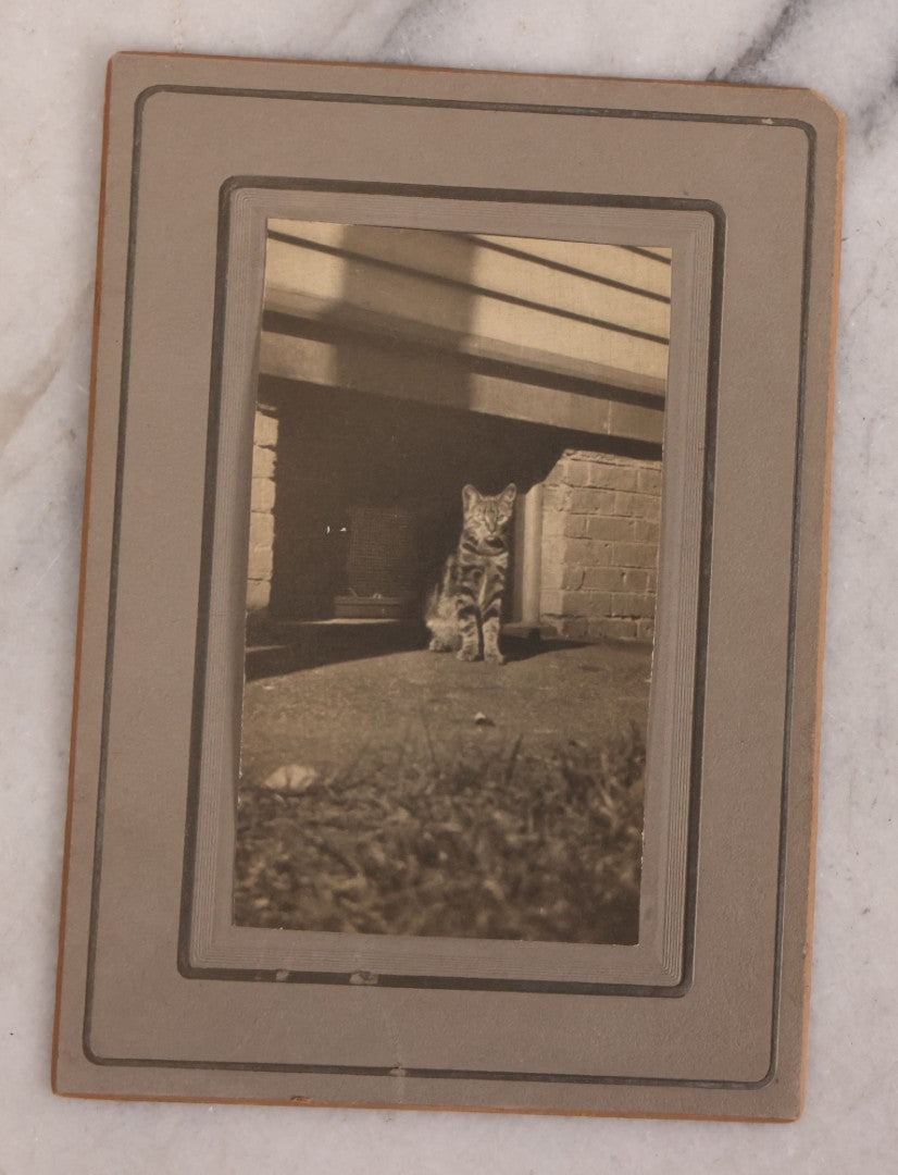 Lot 187 - Grouping Of 13 Pieces Miscellaneous Antique And Vintage Cat Ephemera Including Postcards, Mounted Photographs, And Snapshots