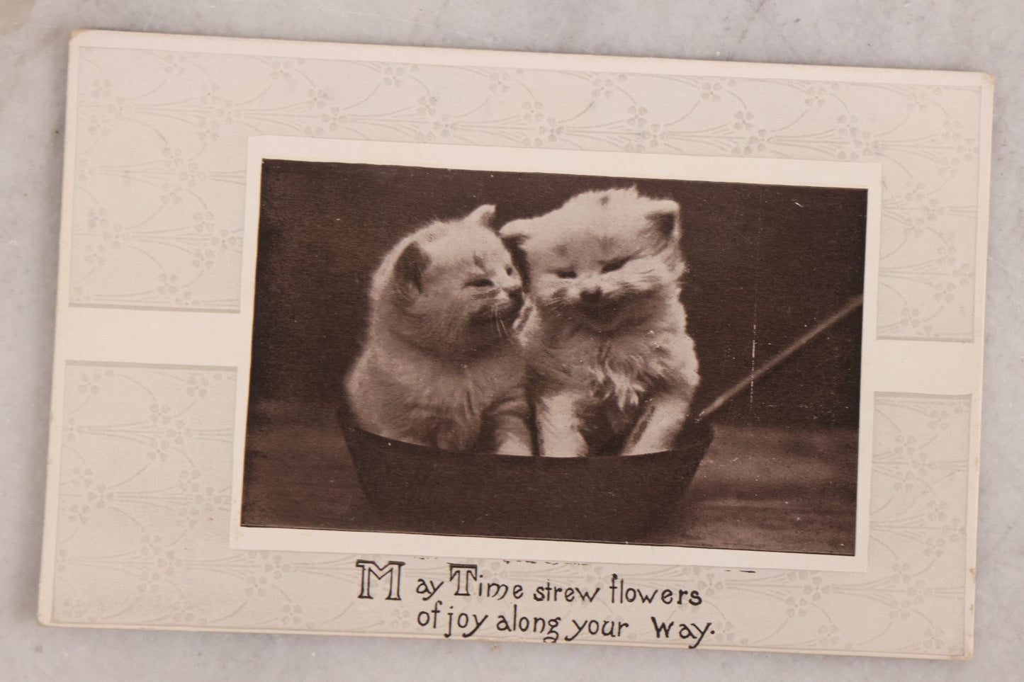 Lot 187 - Grouping Of 13 Pieces Miscellaneous Antique And Vintage Cat Ephemera Including Postcards, Mounted Photographs, And Snapshots