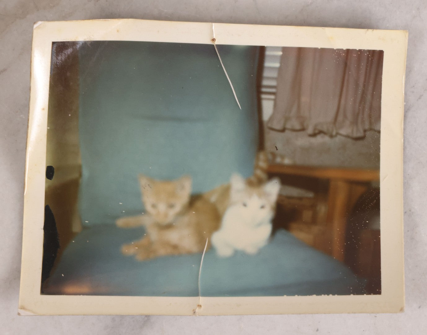 Lot 187 - Grouping Of 13 Pieces Miscellaneous Antique And Vintage Cat Ephemera Including Postcards, Mounted Photographs, And Snapshots