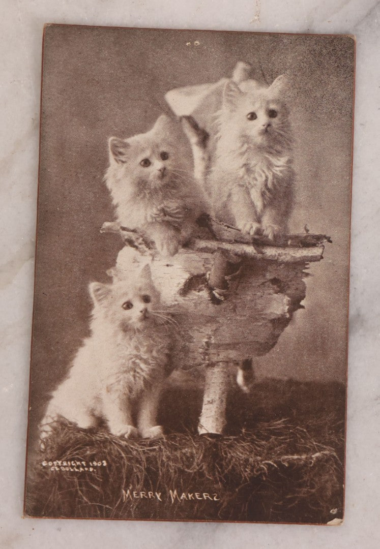 Lot 187 - Grouping Of 13 Pieces Miscellaneous Antique And Vintage Cat Ephemera Including Postcards, Mounted Photographs, And Snapshots