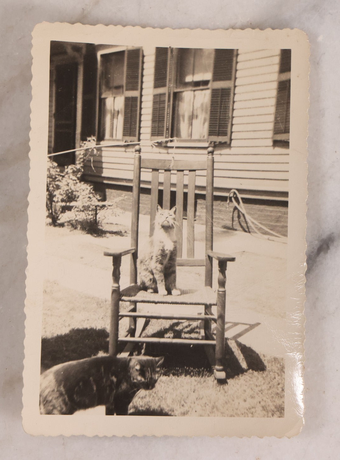 Lot 187 - Grouping Of 13 Pieces Miscellaneous Antique And Vintage Cat Ephemera Including Postcards, Mounted Photographs, And Snapshots
