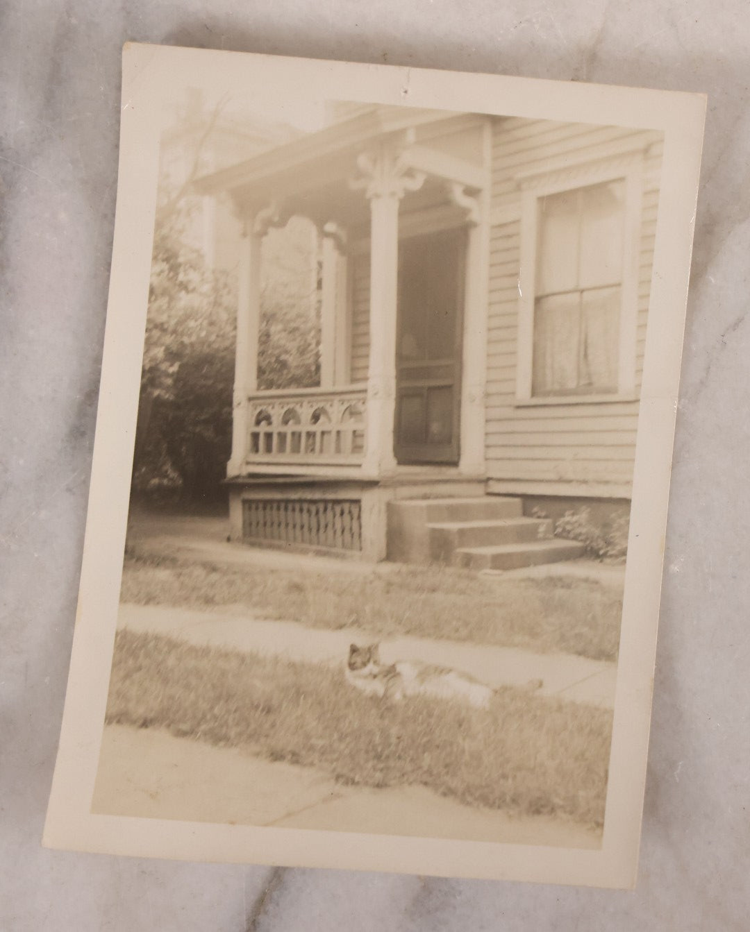 Lot 187 - Grouping Of 13 Pieces Miscellaneous Antique And Vintage Cat Ephemera Including Postcards, Mounted Photographs, And Snapshots