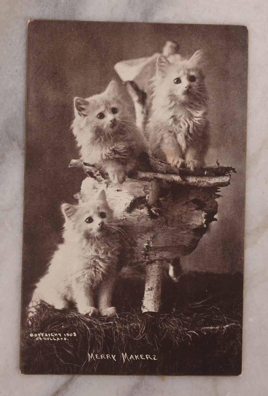 Lot 187 - Grouping Of 13 Pieces Miscellaneous Antique And Vintage Cat Ephemera Including Postcards, Mounted Photographs, And Snapshots