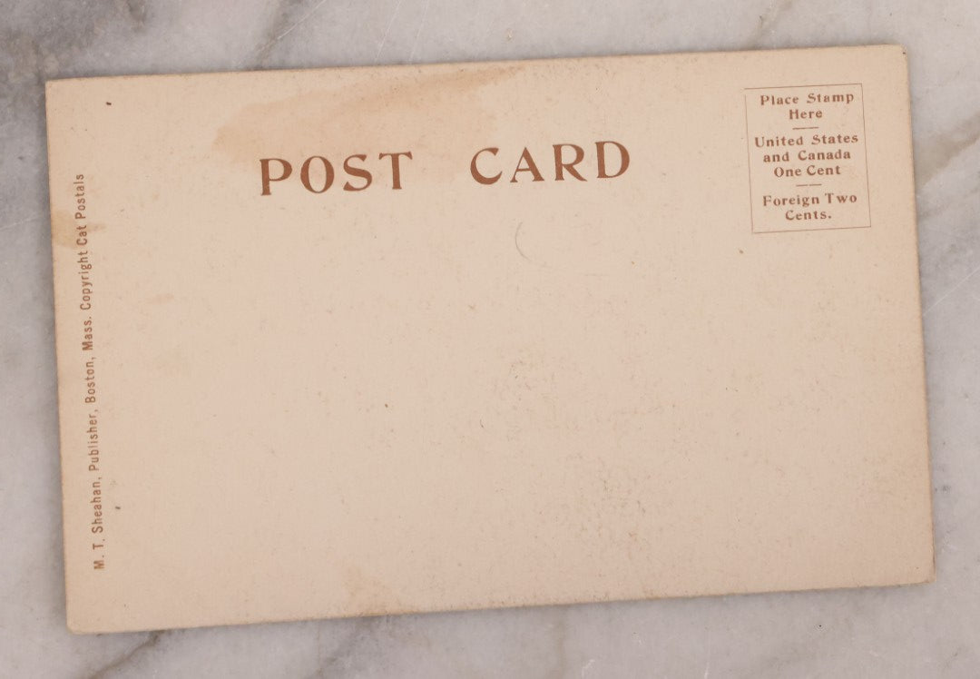 Lot 187 - Grouping Of 13 Pieces Miscellaneous Antique And Vintage Cat Ephemera Including Postcards, Mounted Photographs, And Snapshots