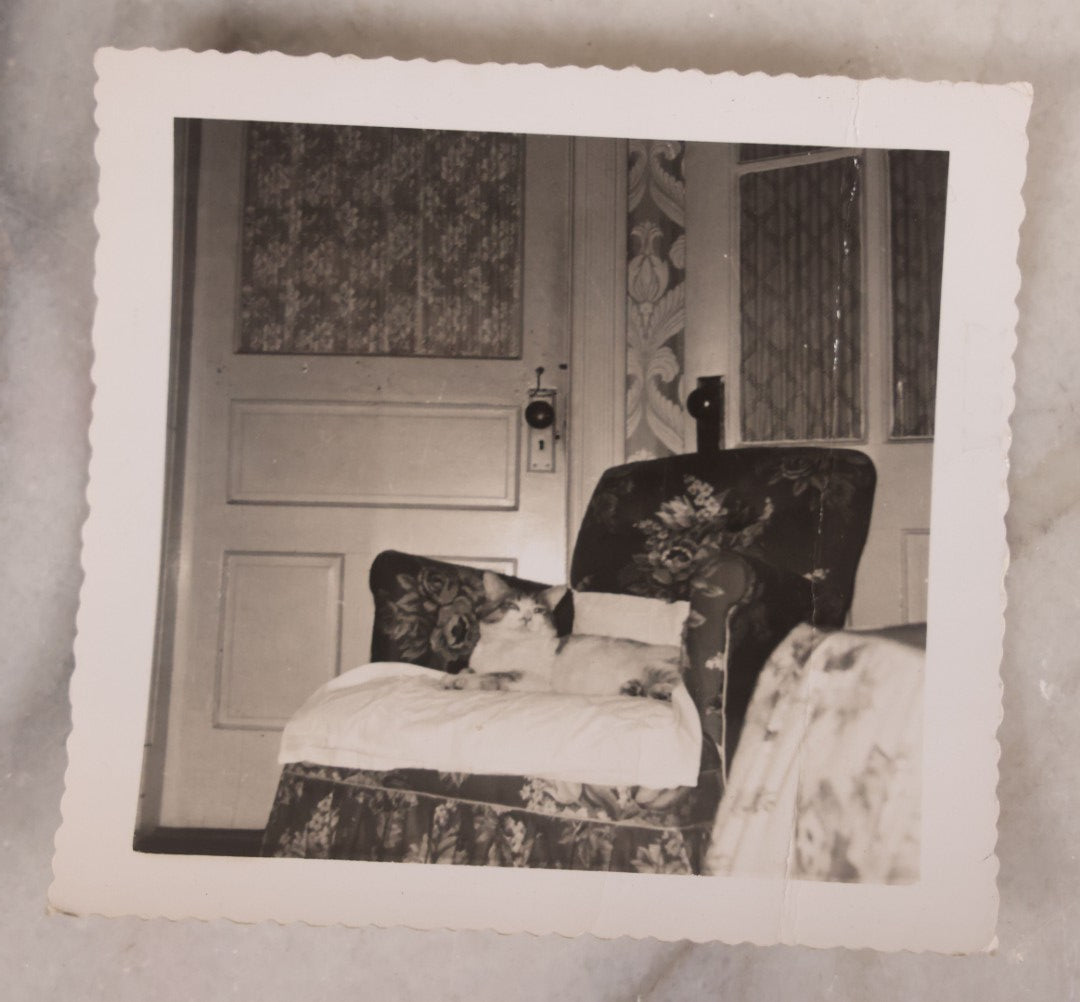 Lot 187 - Grouping Of 13 Pieces Miscellaneous Antique And Vintage Cat Ephemera Including Postcards, Mounted Photographs, And Snapshots