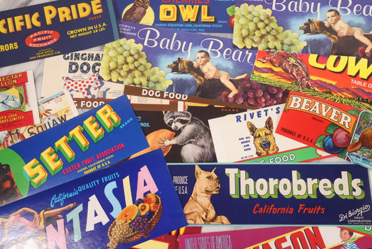 Lot 203 - Grouping Of 19 Vintage Fruit, Vegetable, And Pet Food Product Labels Including Pacific Pride, Owl, Red Wagon, Fuzzy Wuzzy, Cap'n John, Coon, Cowboy, Beaver, Fantasia, Thorobreds, Setter, Baby Bear, Gingham Dog, Swallow, And Squaw Brands