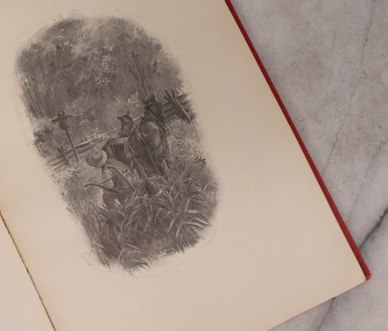 Lot 217 - Pair Of Vintage And Antique Country Books Including "Historic Homes Of Cheshire County" And "Riley Farm-Rhymes"