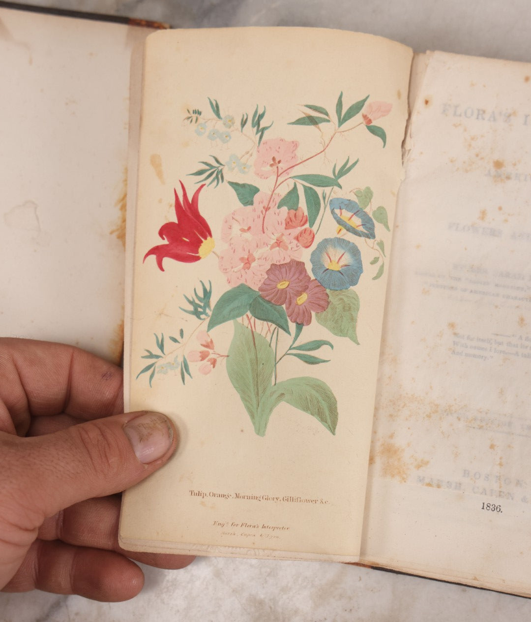 Lot 228 - "Flora's Interpreter: Or, The American Book Of Flowers And Sentiments" Antique Botanical And Sentiment Book By Mrs. Sarah Josepha Hale, Published By Marsh, Capen & Lyon, Boston, 1836, Note Cover Detached