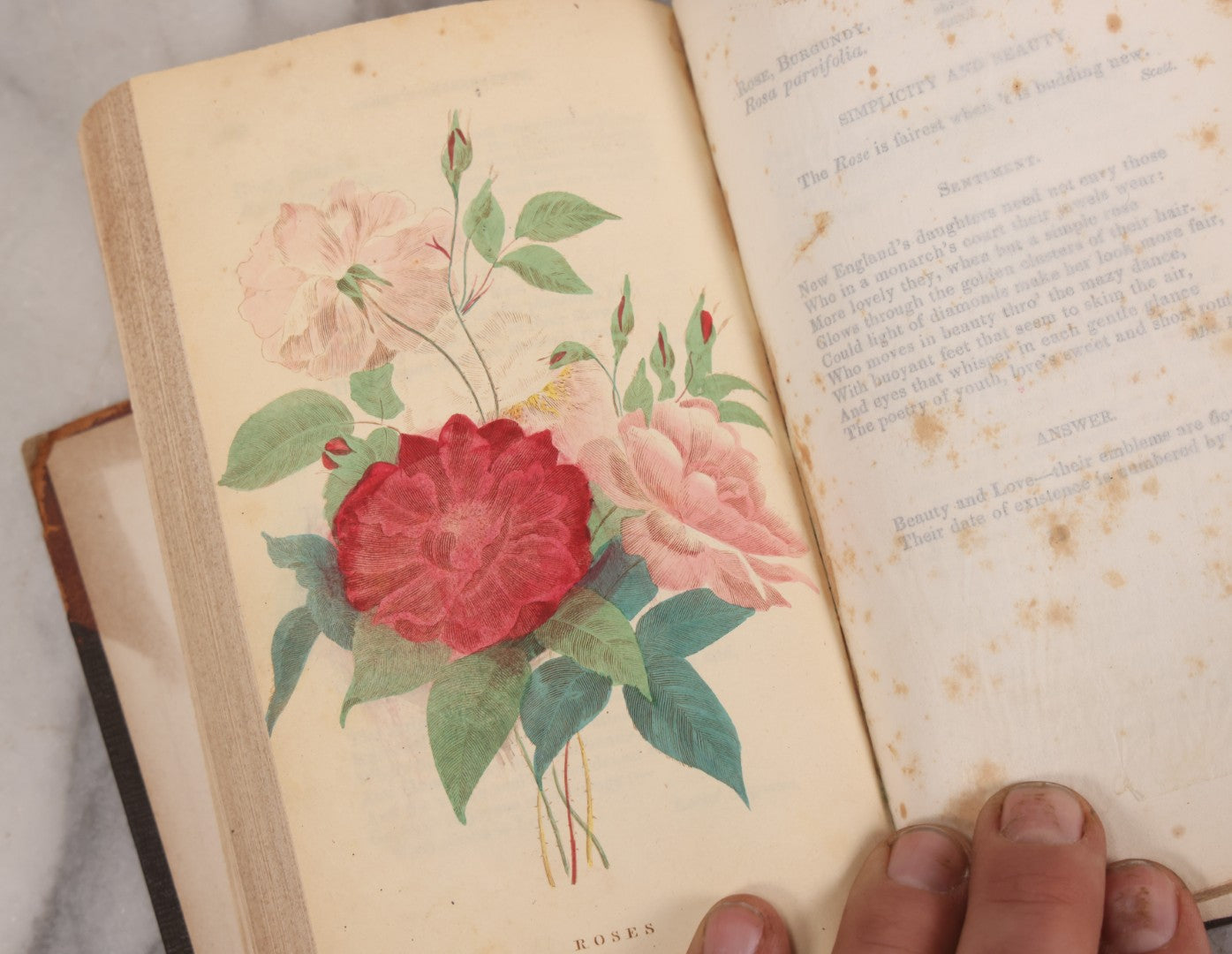 Lot 228 - "Flora's Interpreter: Or, The American Book Of Flowers And Sentiments" Antique Botanical And Sentiment Book By Mrs. Sarah Josepha Hale, Published By Marsh, Capen & Lyon, Boston, 1836, Note Cover Detached