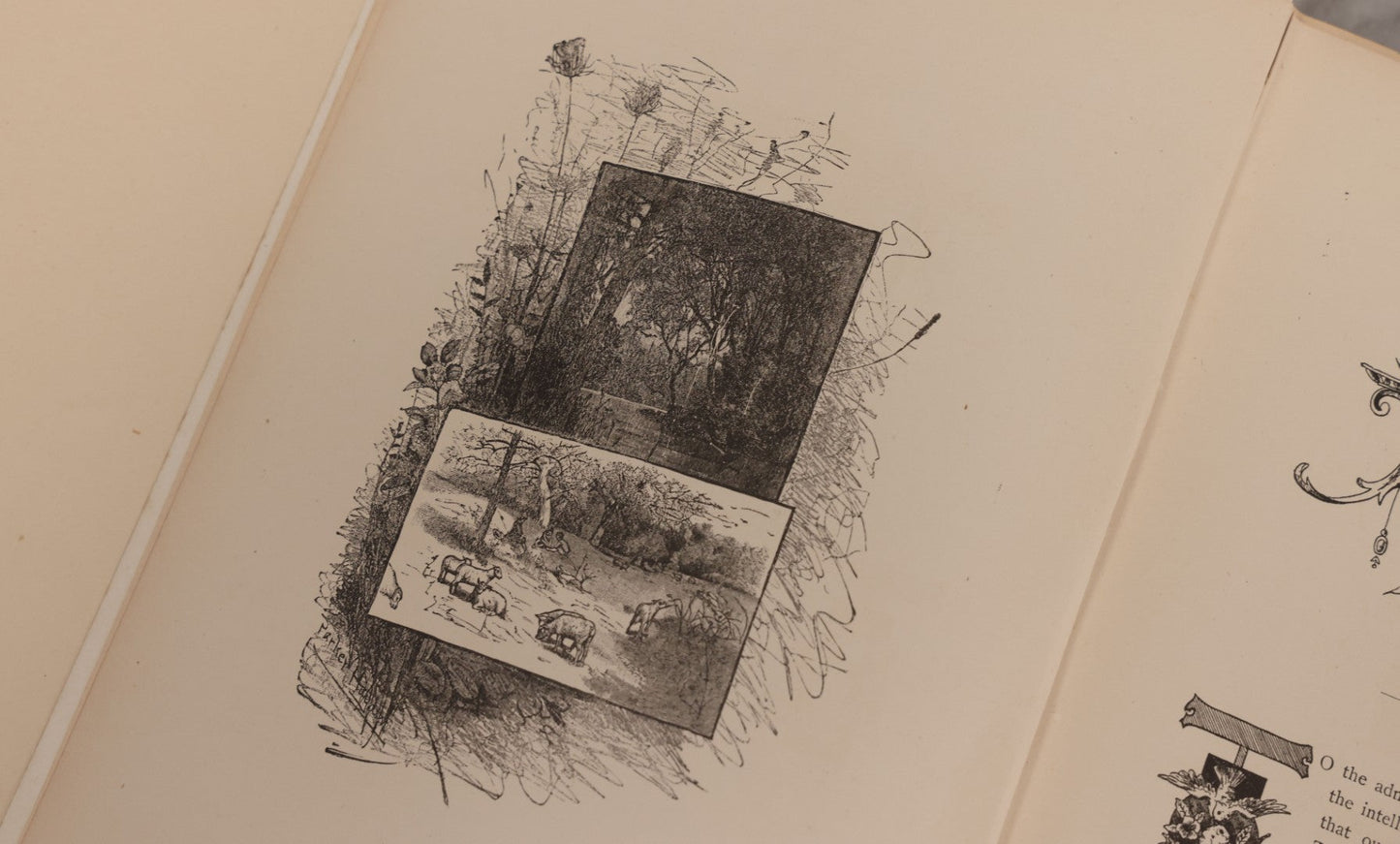 Lot 234 - "Immortal Treasures" Antique Illustrated Literature, Art, And Song Anthology Book With Engraved Plates, Published By J. H. Moore & Co., Chicago, Illinois, & Philadelphia, Pennsylvania, 1885, Note Covers Detached