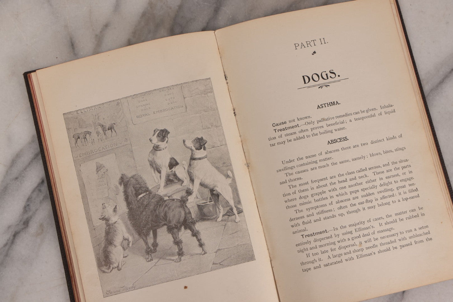 Lot 235 - "Elliman's Embrocation" Antique Veterinary First Aid Booklet For Horses, Dogs, Birds, Cattle, Published By Elliman, Sons & Co., Slough, England, 1902