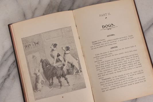 Lot 235 - "Elliman's Embrocation" Antique Veterinary First Aid Booklet For Horses, Dogs, Birds, Cattle, Published By Elliman, Sons & Co., Slough, England, 1902