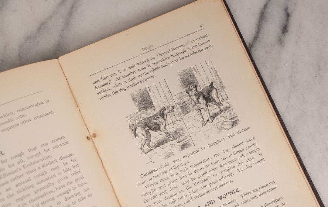 Lot 235 - "Elliman's Embrocation" Antique Veterinary First Aid Booklet For Horses, Dogs, Birds, Cattle, Published By Elliman, Sons & Co., Slough, England, 1902