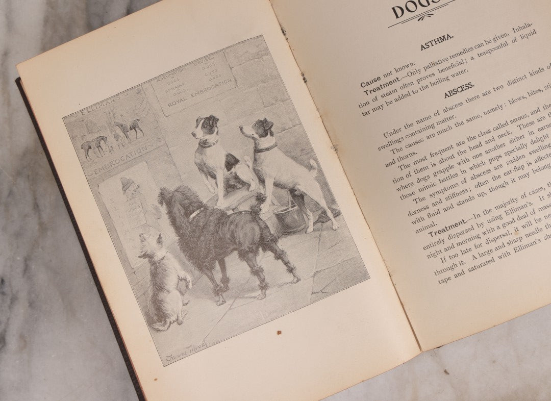 Lot 235 - "Elliman's Embrocation" Antique Veterinary First Aid Booklet For Horses, Dogs, Birds, Cattle, Published By Elliman, Sons & Co., Slough, England, 1902