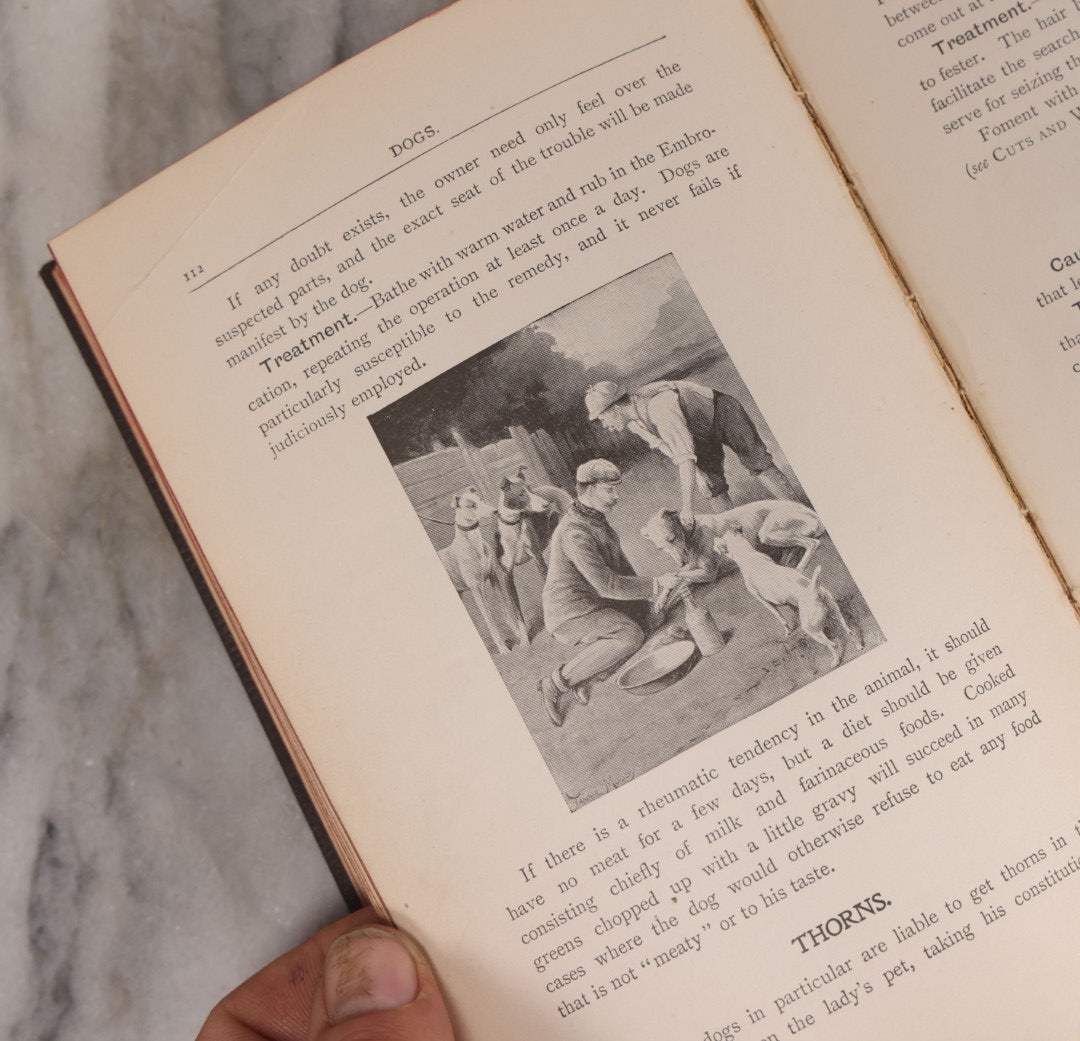 Lot 235 - "Elliman's Embrocation" Antique Veterinary First Aid Booklet For Horses, Dogs, Birds, Cattle, Published By Elliman, Sons & Co., Slough, England, 1902