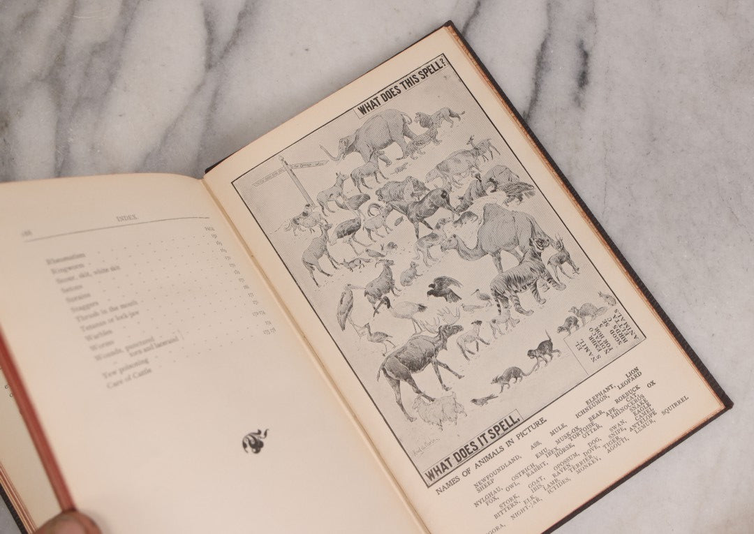 Lot 235 - "Elliman's Embrocation" Antique Veterinary First Aid Booklet For Horses, Dogs, Birds, Cattle, Published By Elliman, Sons & Co., Slough, England, 1902