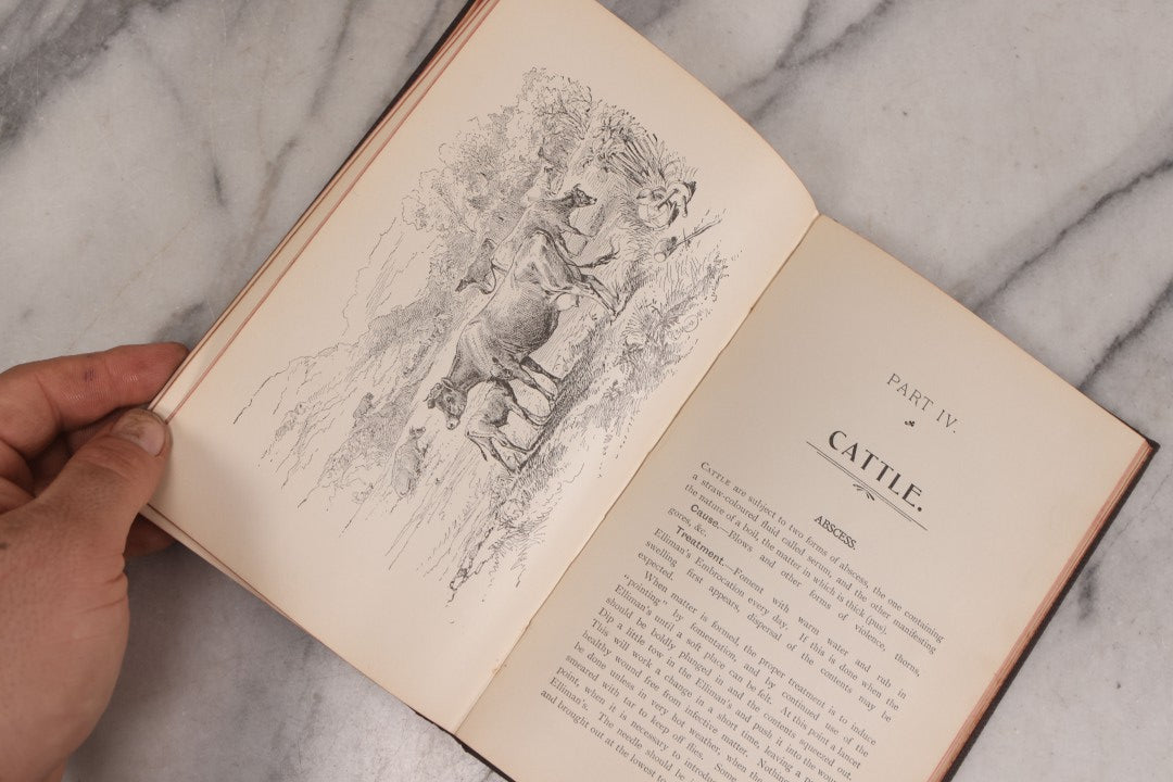 Lot 235 - "Elliman's Embrocation" Antique Veterinary First Aid Booklet For Horses, Dogs, Birds, Cattle, Published By Elliman, Sons & Co., Slough, England, 1902