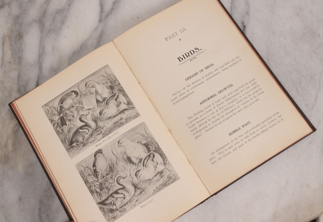 Lot 235 - "Elliman's Embrocation" Antique Veterinary First Aid Booklet For Horses, Dogs, Birds, Cattle, Published By Elliman, Sons & Co., Slough, England, 1902
