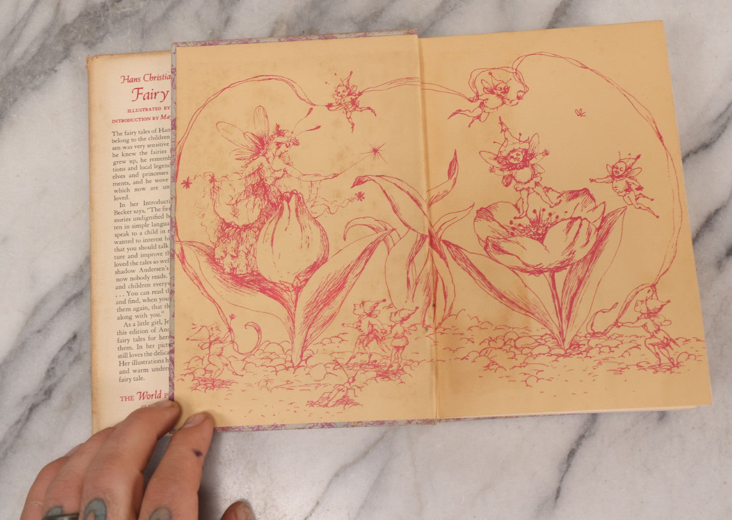 Lot 243 - "Hans Christian Andersen's Fairy Tales" Vintage Children's Book By Hans Christian Andersen, Illustrated By Jean O'Neill, Introduction By May Lamberton Becker, Published By The World Publishing Company, Cleveland And New York, 1946