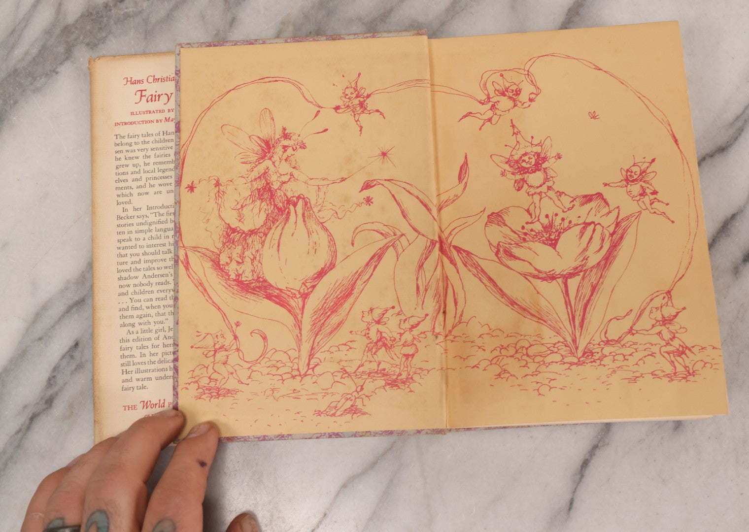 Lot 243 - "Hans Christian Andersen's Fairy Tales" Vintage Children's Book By Hans Christian Andersen, Illustrated By Jean O'Neill, Introduction By May Lamberton Becker, Published By The World Publishing Company, Cleveland And New York, 1946