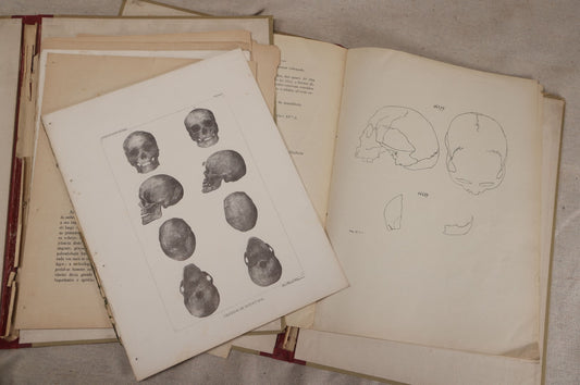 Lot 229 - Pair Of Antique Portuguese-Language Brazilian Anthropological Folios, "Study Of The Urupá Indians" And "Study Of The Indigenous Races Of Brazil," Museu Nacional Rio De Janeiro, With Skull And Tool Plates