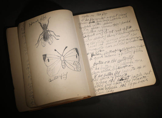 Lot 096 - Antique Handwritten Biology Notebook With Hand-Drawn Insect And Animal Illustrations, George T. Cullom, Lexington, Missouri, Marbled Paper Covers