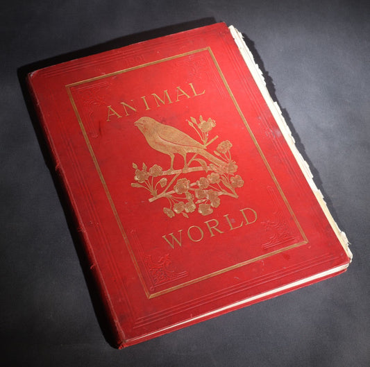 Lot 098 - "Animal World" Antique 1901 R.S.P.C.A. Royal Society For The Prevention Of Cruelty To Animals Bound Annual Compendium, Red Cloth With Gold-Stamped Bird, Presentation Copy To Sarah Duncan, Liverpool Branch, April 1902