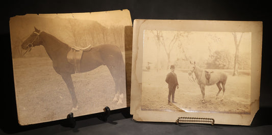 Lot 142 - Pair Of Antique Large-Format Board-Mounted Photographs Of "Hook McDonald By Rex McDonald," Saddled Horse Portrait And Man With Horse, East Rock, New Haven, Connecticut, Circa 1911-1912, 19-3/4" x 16-3/4" And 20" x 16"