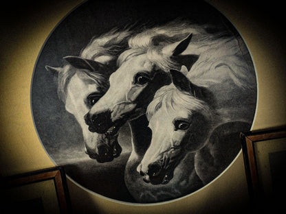 9/12/2024 AUCTION PHOTO GALLERY