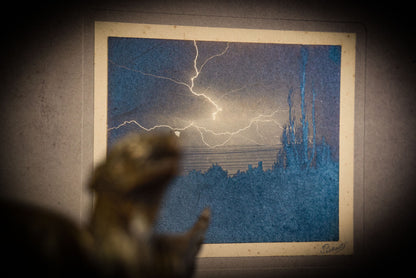 6/12/2025 AUCTION PHOTO GALLERY